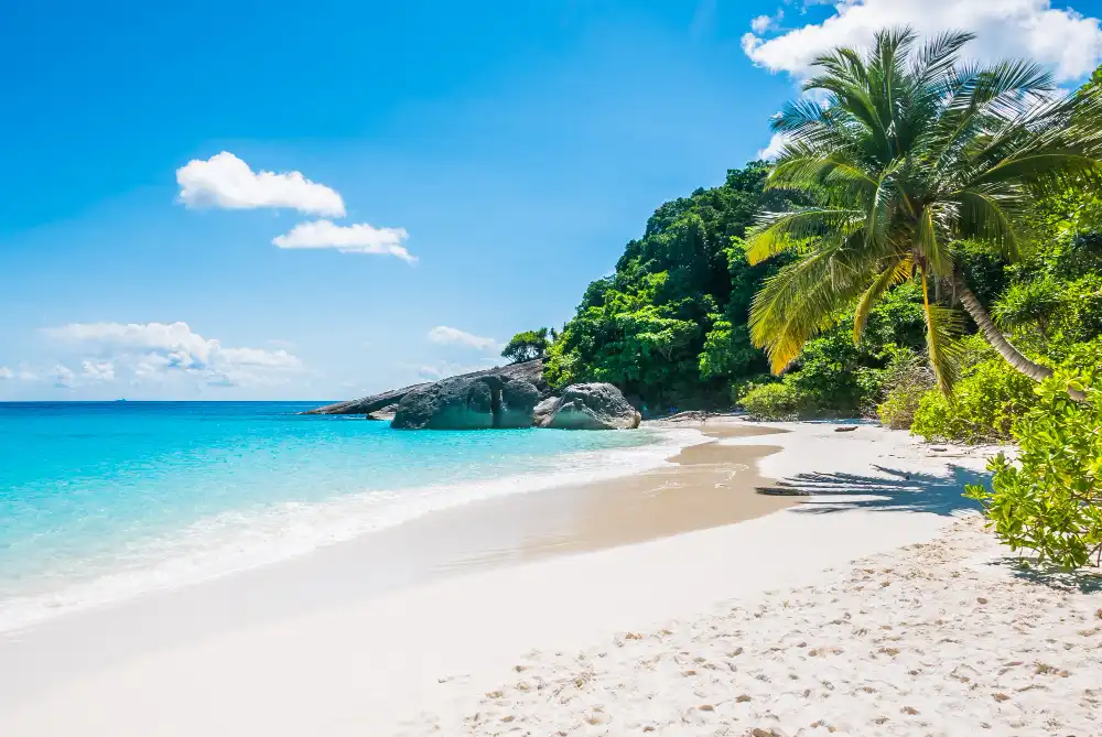 Island%20Safety%20and%20Luxury.webp