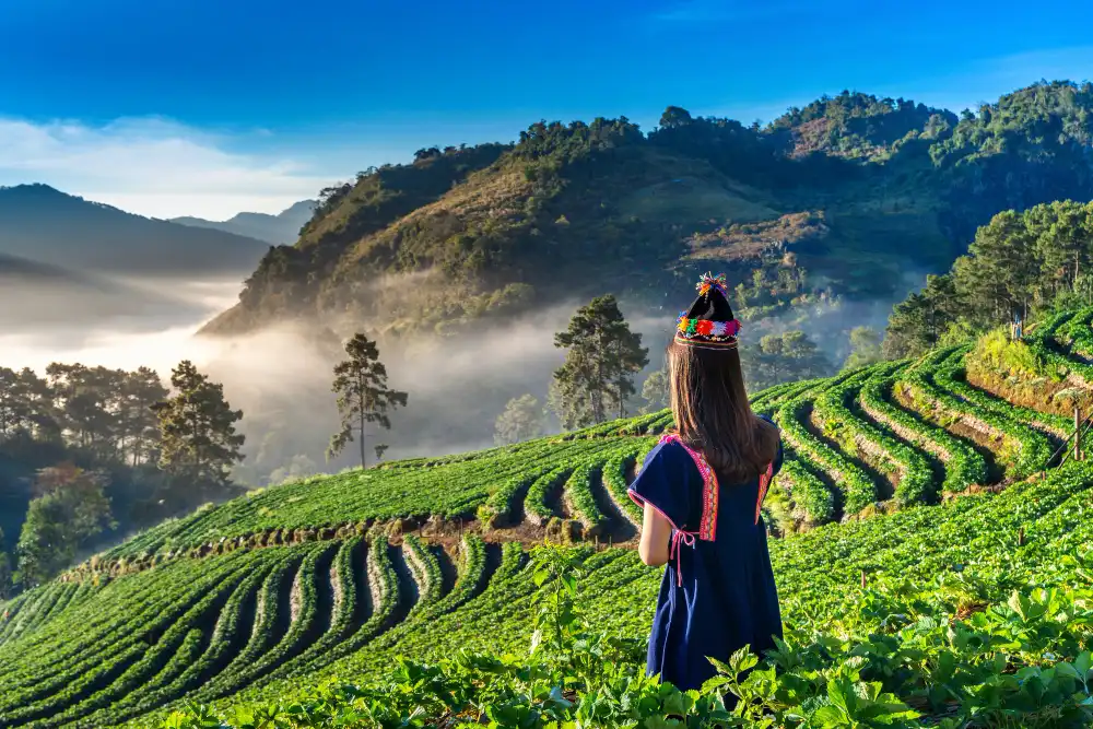 The%20Alluring%20Charm%20of%20Vietnam.webp